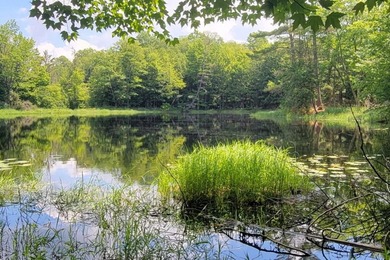 1.55 nicely wooded Acres in Natural Lakes Preserve ready for - photo 1