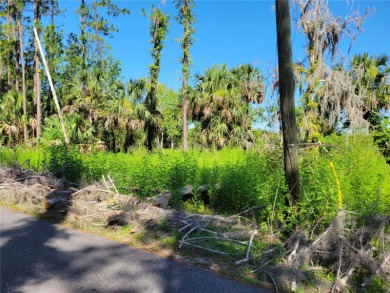 Lake Monroe Acreage For Sale in Deltona Florida