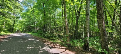 1.55 nicely wooded Acres in Natural Lakes Preserve ready for - photo 2