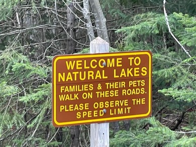 1.55 nicely wooded Acres in Natural Lakes Preserve ready for - photo 4