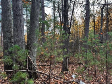 Moss Lake Lot For Sale in Lac du Flambeau Wisconsin
