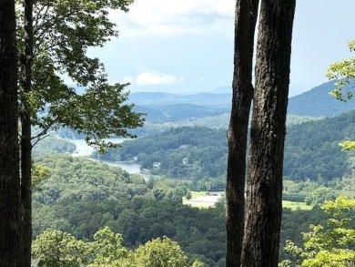 Lake Lot For Sale in Hiawassee, Georgia