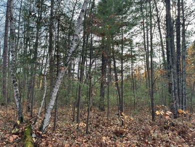 Additional listing photo 4
