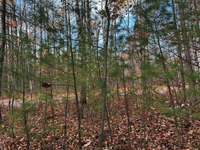 This newly surveyed and inexpensive .69-acre parcel is located - photo 7