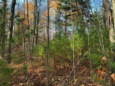 This newly surveyed and inexpensive .69-acre parcel is located - photo 9