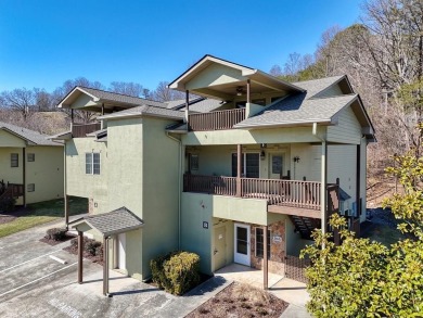 Lake Condo For Sale in Young Harris, Georgia