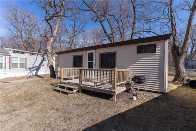 Lake Home For Sale in Battle Lake, Minnesota