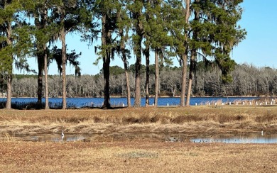 Lake Louise Lot For Sale in Live Oak Florida