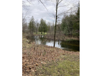 Muskegon River Lot For Sale in Stanwood Michigan
