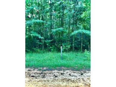 Secluded Wooded Lot - photo 2
