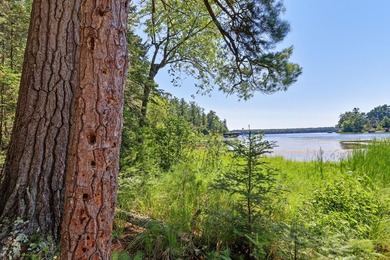 Rare opportunity to build in the highly sought-after Eaglewatch - photo 1