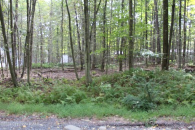 North Arrowhead Lakes Lot For Sale in Pocono Lake Pennsylvania