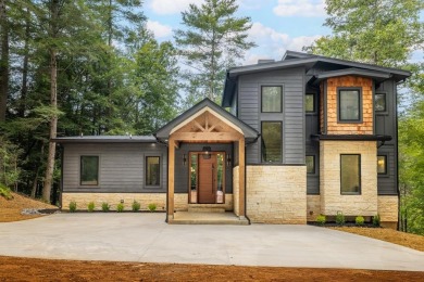 Lake Home For Sale in Cherry Log, Georgia