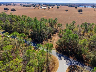 Opportunity awaits in Rainbow Lakes Estates! This just over 0 - photo 3