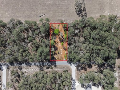Opportunity awaits in Rainbow Lakes Estates! This just over 0 - photo 5