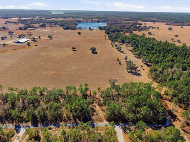 Opportunity awaits in Rainbow Lakes Estates! This just over 0 - photo 6