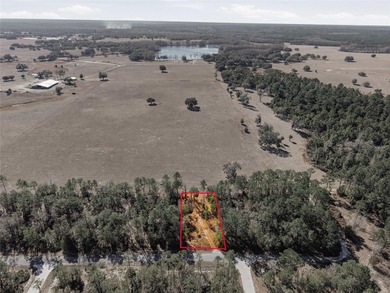 Opportunity awaits in Rainbow Lakes Estates! This just over 0 - photo 7