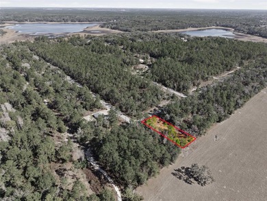Opportunity awaits in Rainbow Lakes Estates! This just over 0 - photo 10