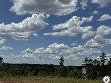 Lake Acreage For Sale in Linden, Texas