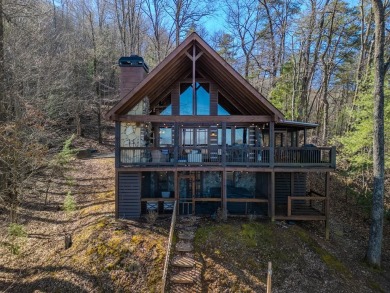 Lake Home For Sale in Blue Ridge, Georgia