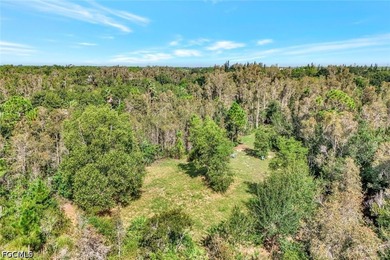 Just 1 MILE from the new Publix Shopping plaza at BABCOCK RANCH! - photo 3