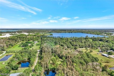 Just 1 MILE from the new Publix Shopping plaza at BABCOCK RANCH! - photo 4