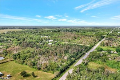 Just 1 MILE from the new Publix Shopping plaza at BABCOCK RANCH! - photo 8