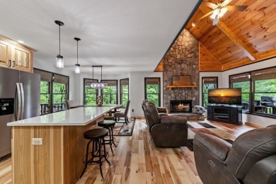 Lake Home For Sale in Ellijay, Georgia