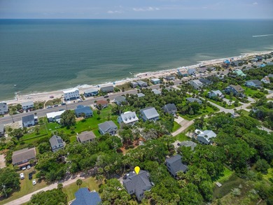Welcome to your Edisto Island escape! Majestic live oaks and - photo 4