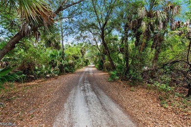 Welcome to your own little slice of Southwest Florida paradise - photo 3