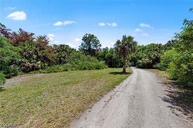 Welcome to your own little slice of Southwest Florida paradise - photo 4