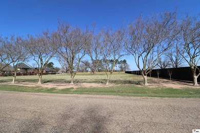 Rare opportunity to secure additional land alongside the - photo 3