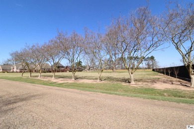 Rare opportunity to secure additional land alongside the - photo 4