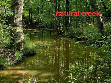 This is a rare opportunity to purchase 27 acres of unrestricted - photo 2
