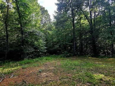 This is a rare opportunity to purchase 27 acres of unrestricted - photo 5