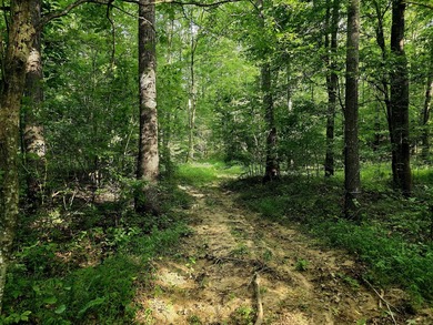 This is a rare opportunity to purchase 27 acres of unrestricted - photo 6