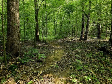 This is a rare opportunity to purchase 27 acres of unrestricted - photo 7