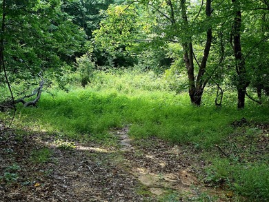 This is a rare opportunity to purchase 27 acres of unrestricted - photo 8