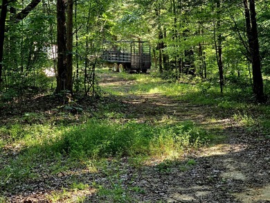 This is a rare opportunity to purchase 27 acres of unrestricted - photo 10