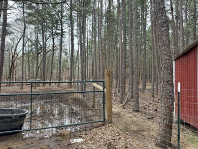 PARK-LIKE SETTING on 21 pristine acres near National Forest - photo 45