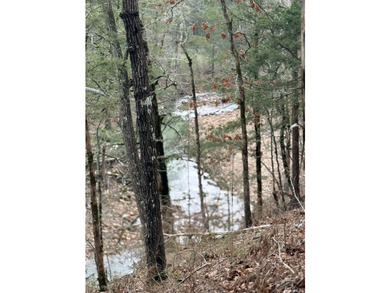 PARK-LIKE SETTING on 21 pristine acres near National Forest - photo 47