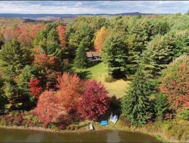 Lake Home For Sale in Franklin, New York