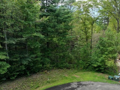 Lake Lot For Sale in Ellijay, Georgia