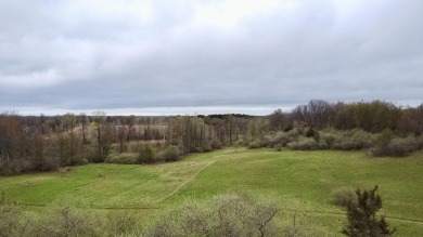 (private lake, pond, creek) Acreage Active Under Con in Metamora Michigan