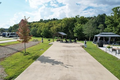 Lake Blue Ridge Lot For Sale in Morganton Georgia