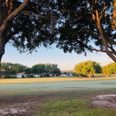 Spectacular Golf View from the Tee Boxes to the Green and pond - photo 25