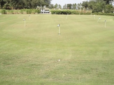 Spectacular Golf View from the Tee Boxes to the Green and pond - photo 28