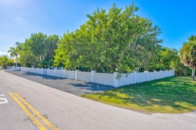 Nestled within this 280 ft of concrete walled and gated property - photo 9