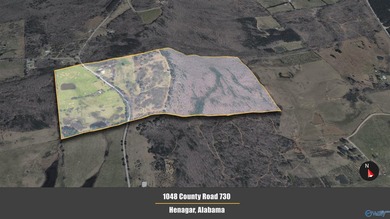 (private lake, pond, coastal) Home For Sale in Henagar Alabama