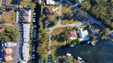 Gulf of Mexico - Crystal River Lot Sale Pending in Crystal River Florida